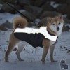 Dog Gone Smart Meteor Nano-Breaker Capa
